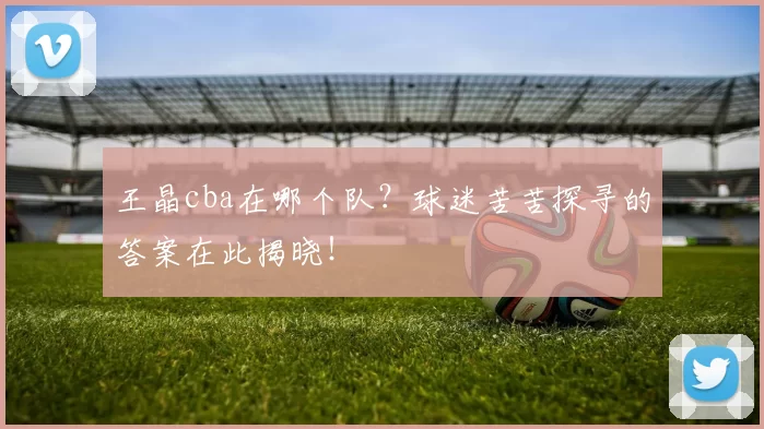 王晶cba在哪个队？球迷苦苦探寻的答案在此揭晓！